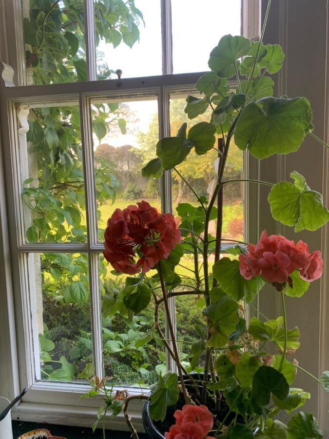 Dalton House Bed And Breakfast Buitenkant foto